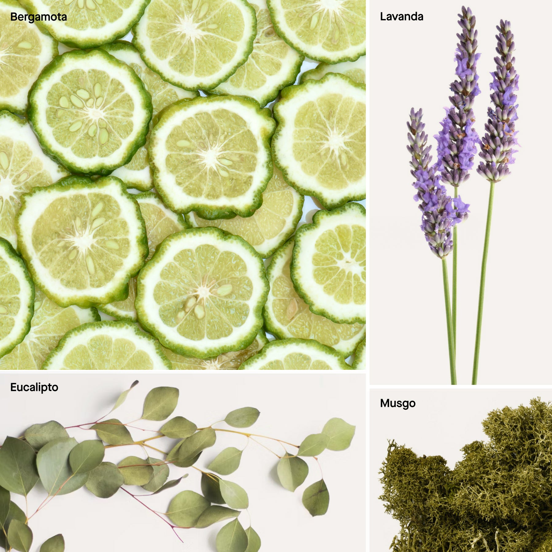 Lavender - Pre Poo Spray- 120 ml