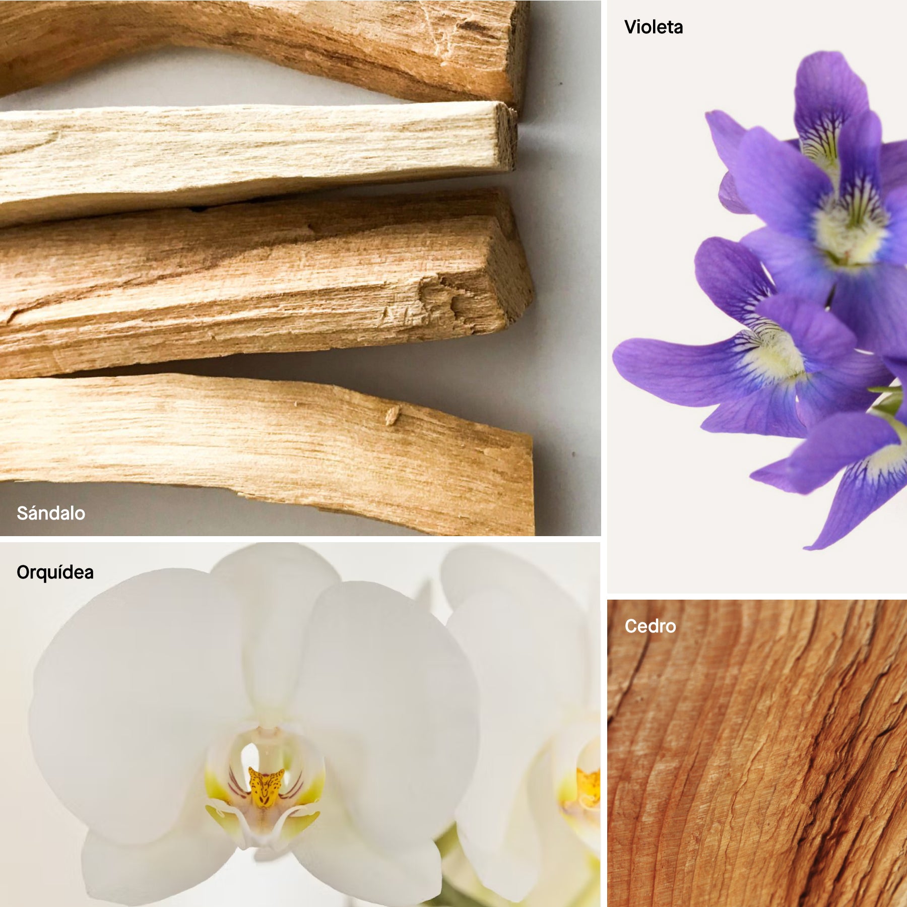 Santal - Aromatizante en Spray |  Para Telas y Ropa de Cama | Eliminador de olores en Spray - 60 ml