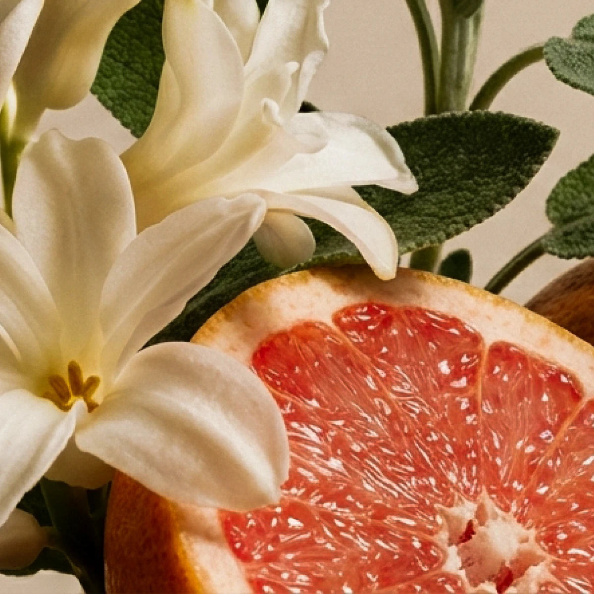 Imagen de diapositiva