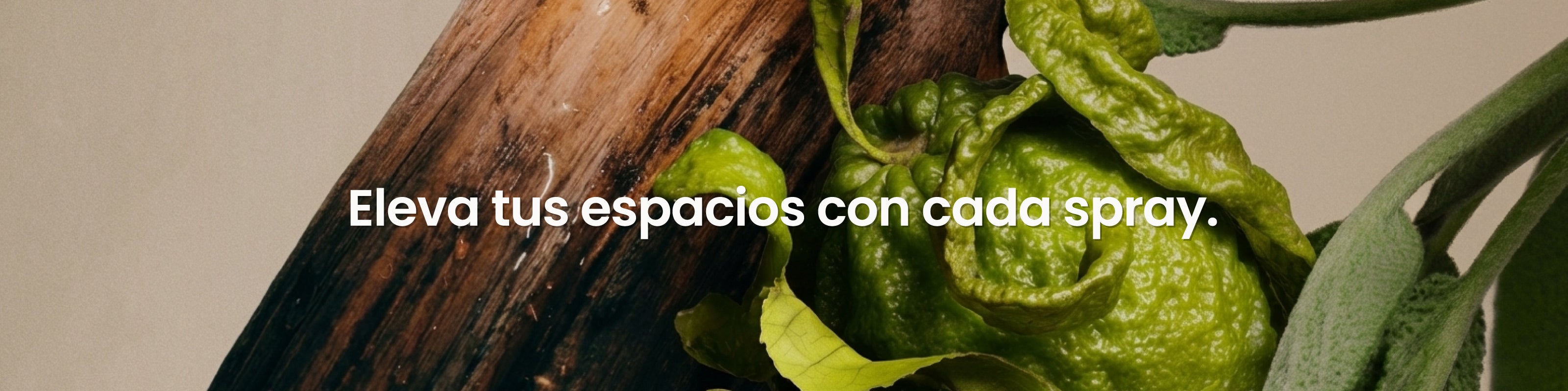 Imagen de diapositiva