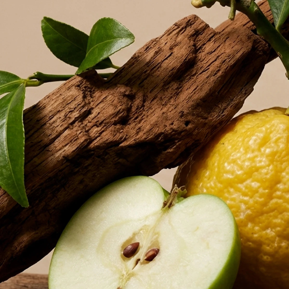 Imagen de diapositiva