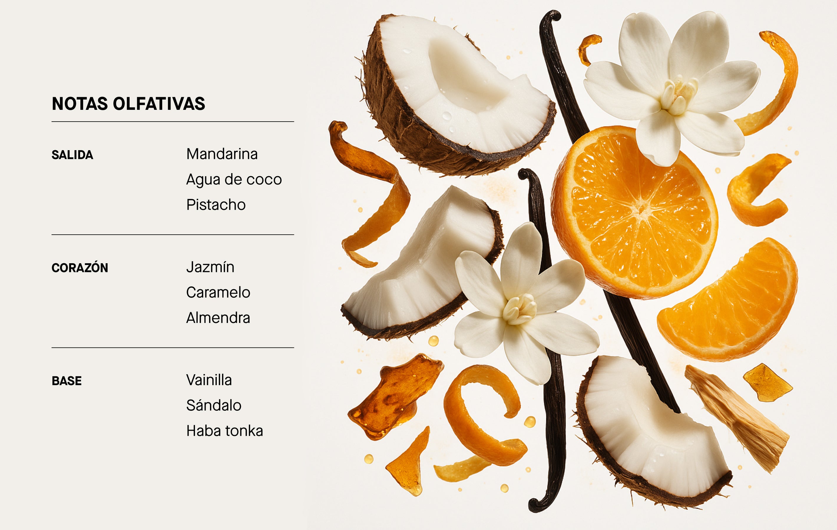 Imagen de diapositiva