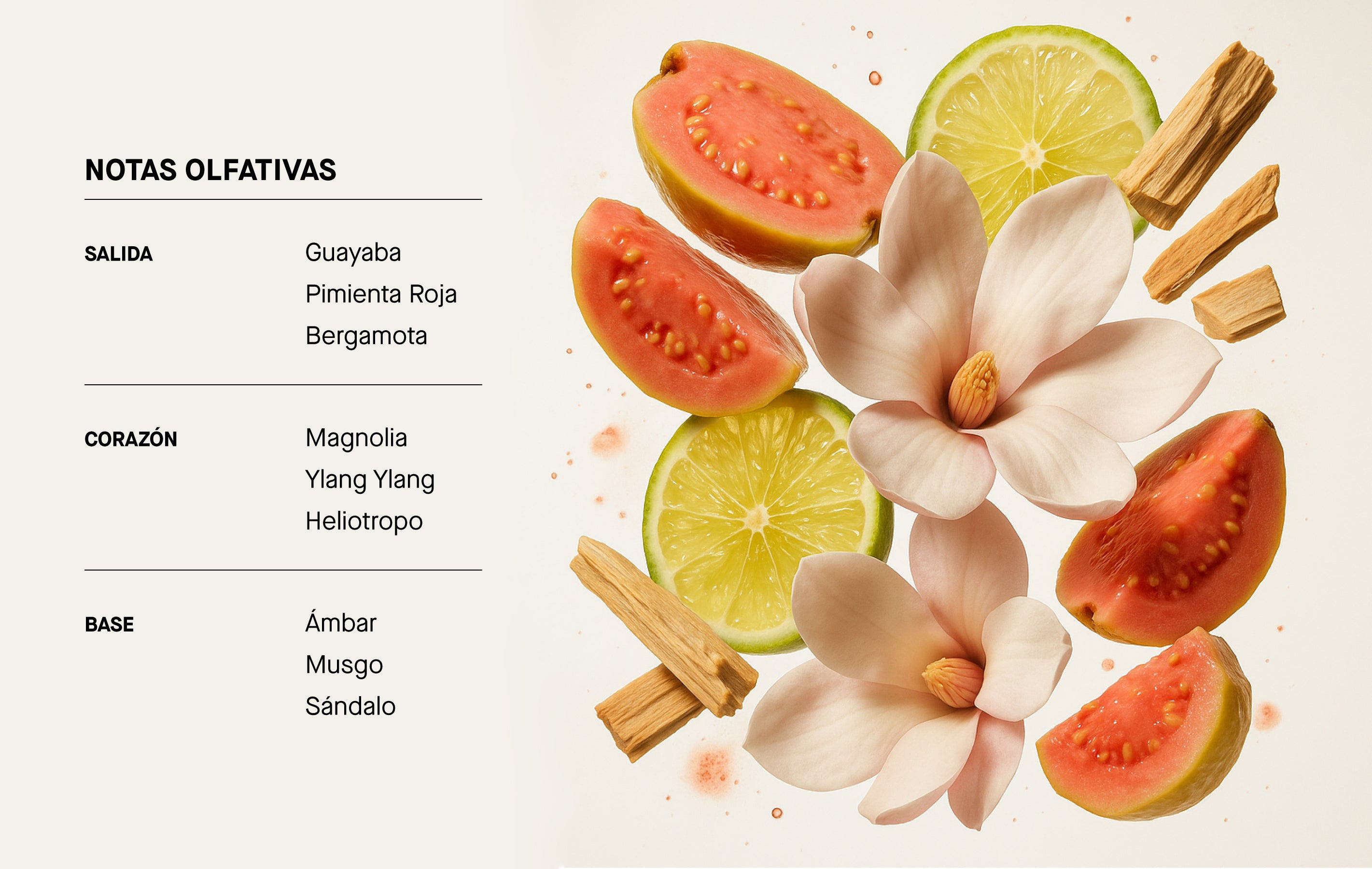 Imagen de diapositiva