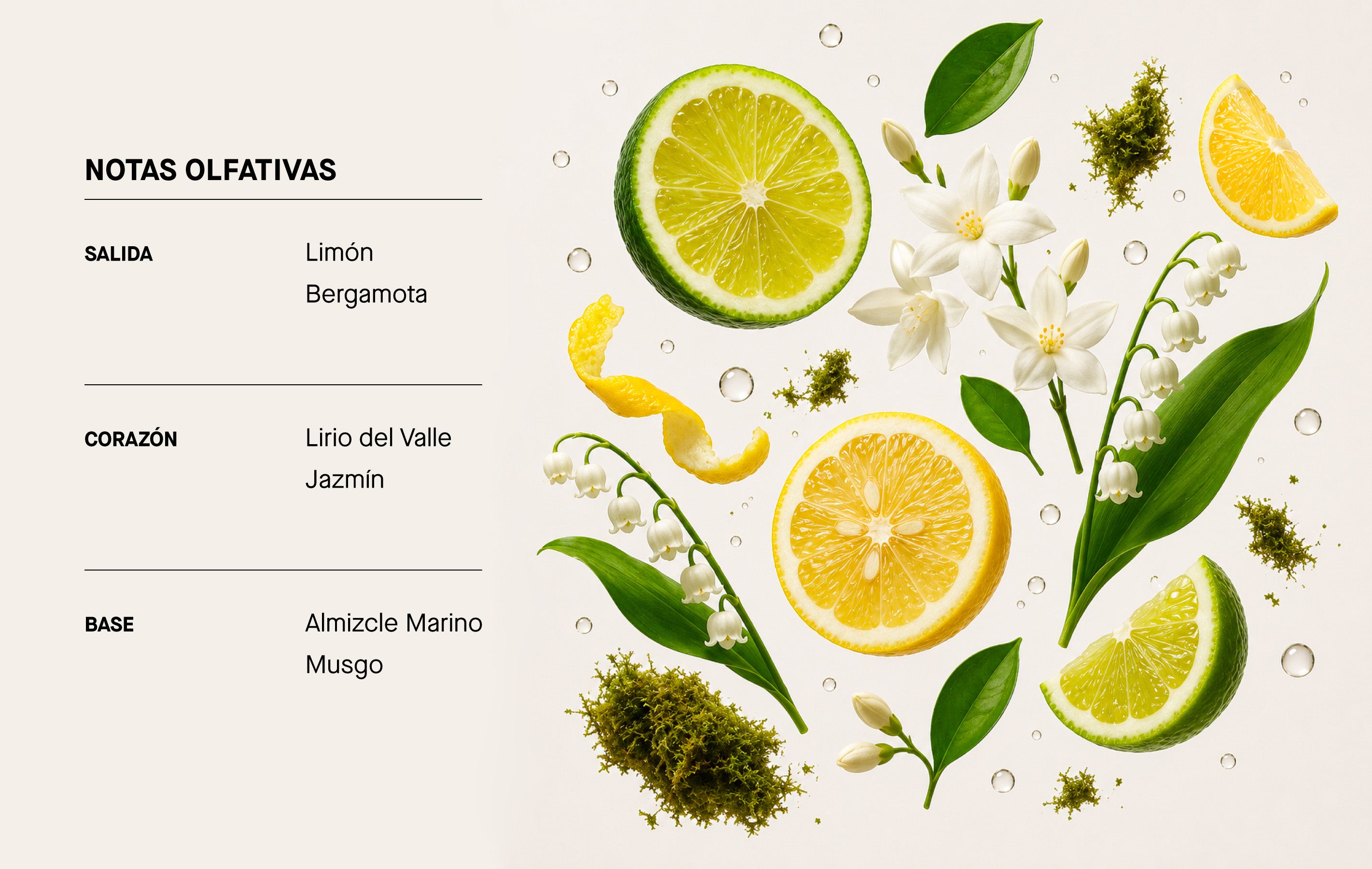 Imagen de diapositiva