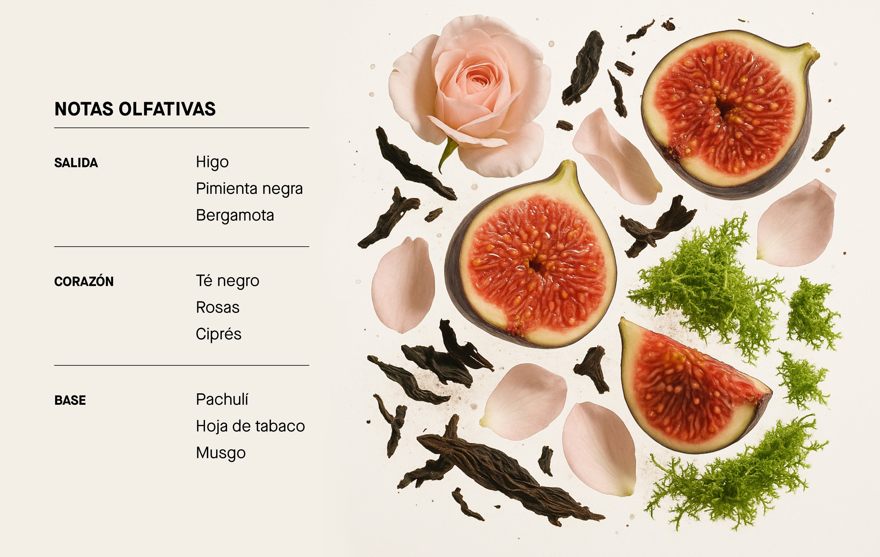 Imagen de diapositiva