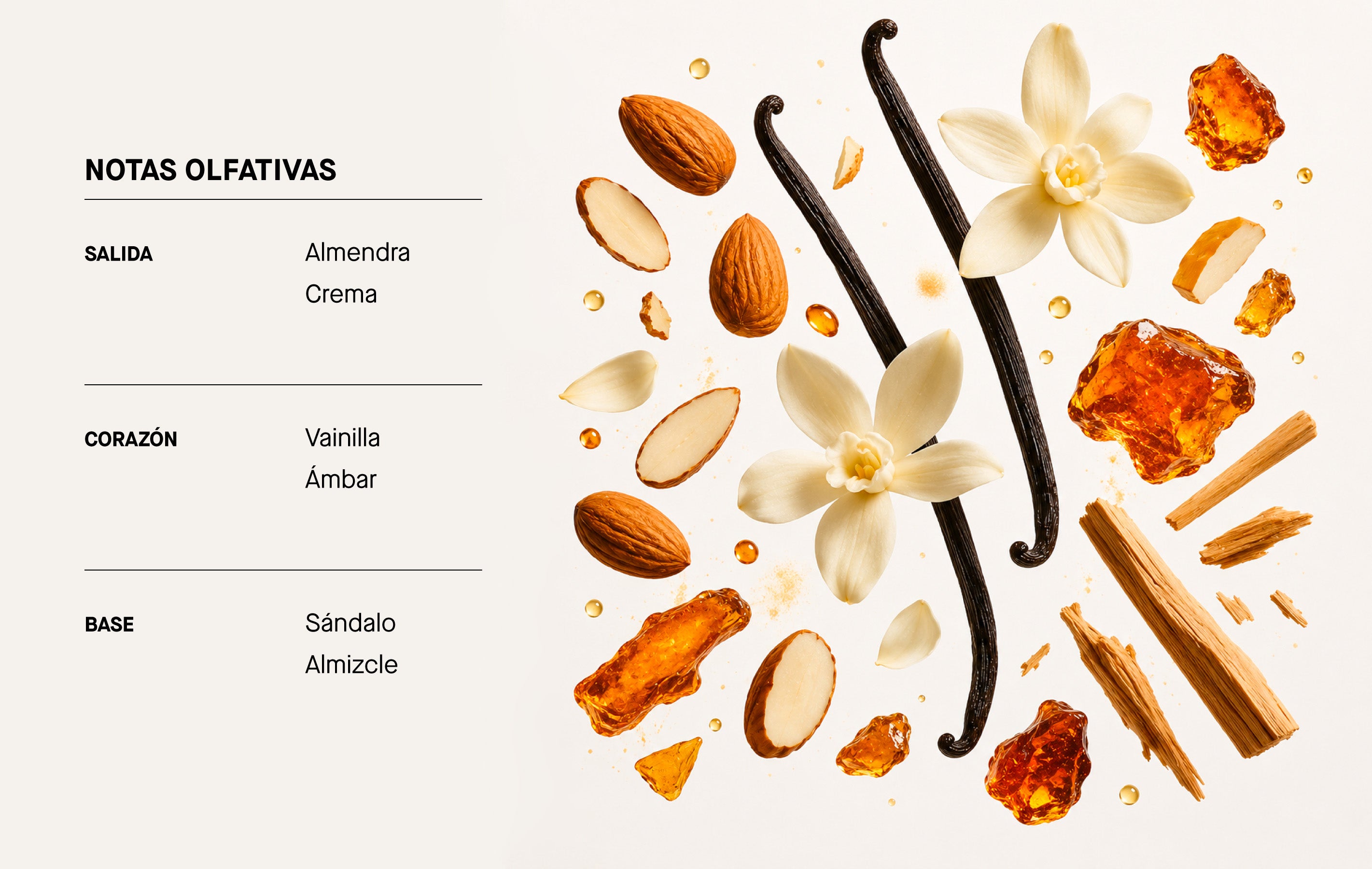 Imagen de diapositiva