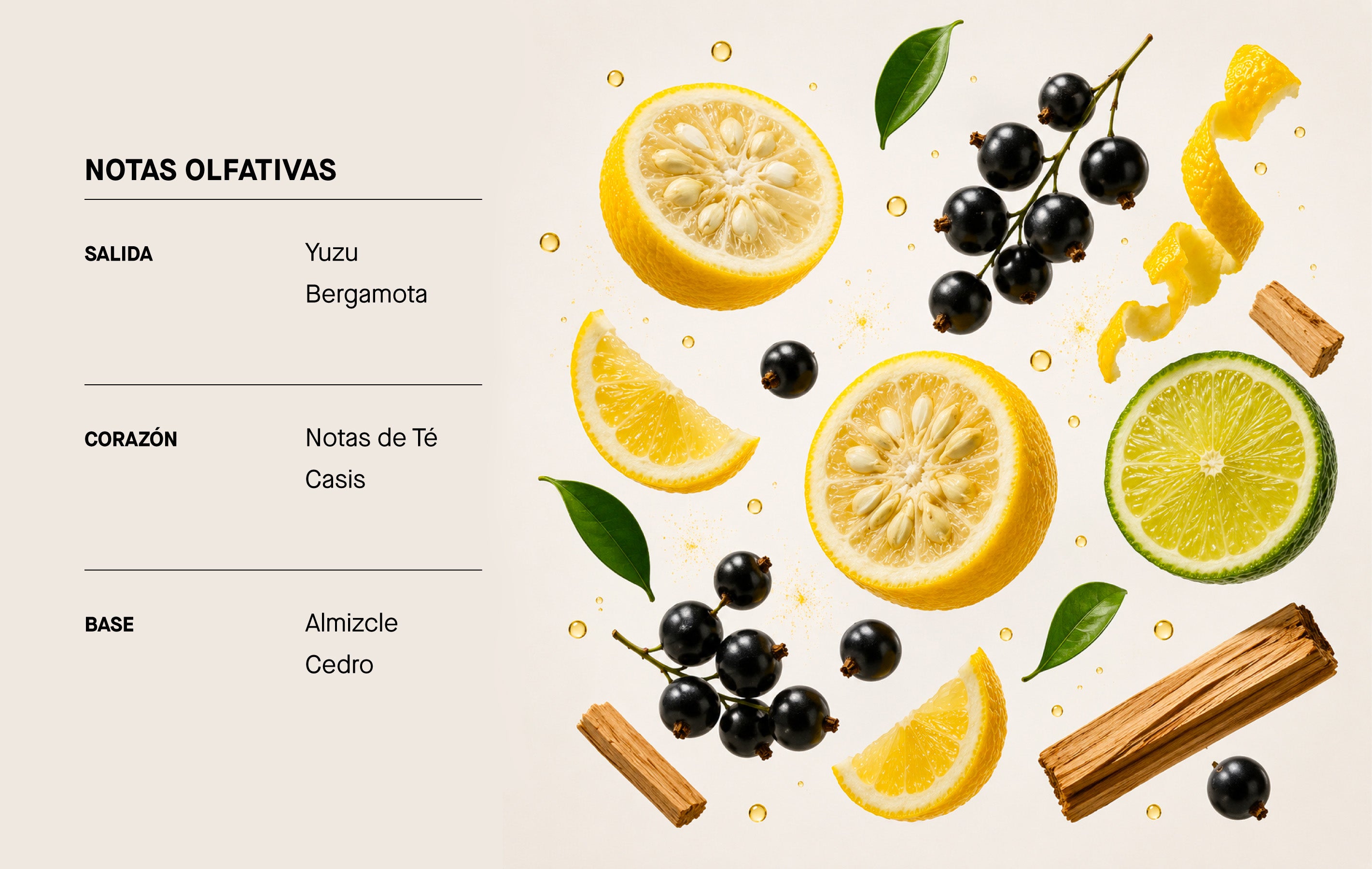 Imagen de diapositiva