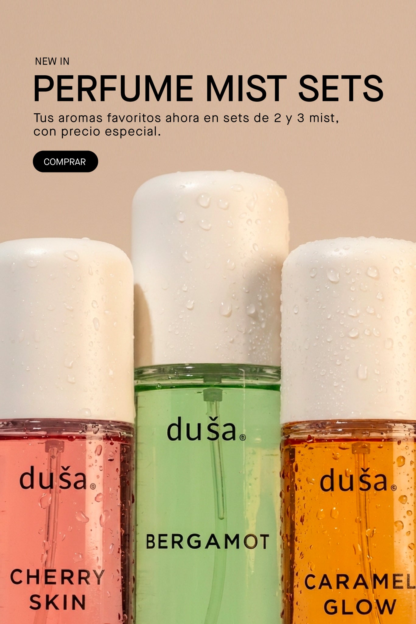 Imagen de diapositiva