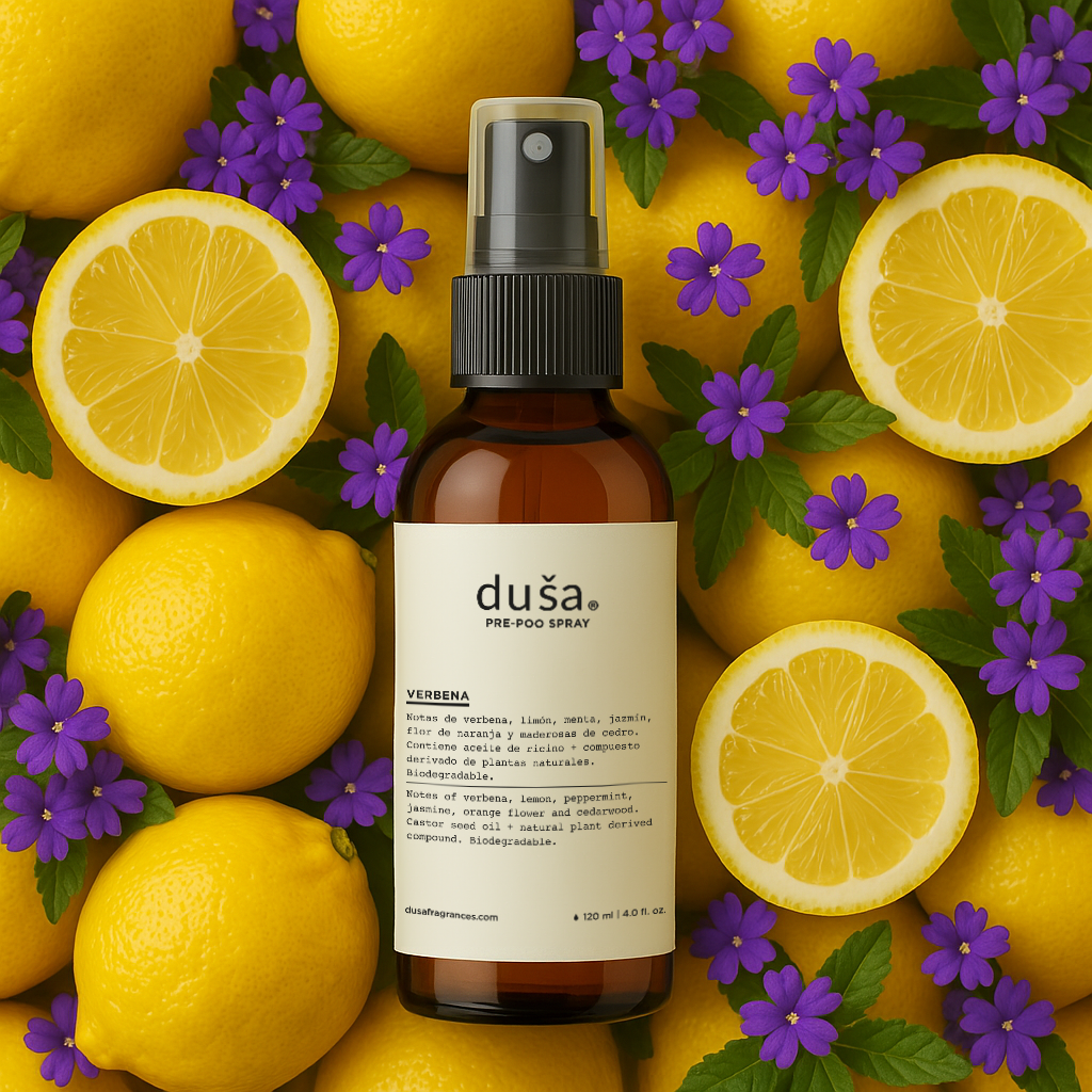 Imagen de diapositiva