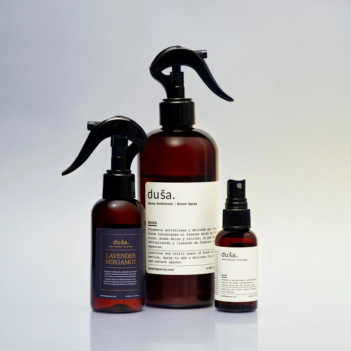 Imagen de diapositiva