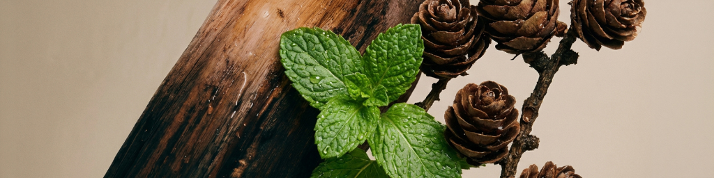 Imagen de diapositiva