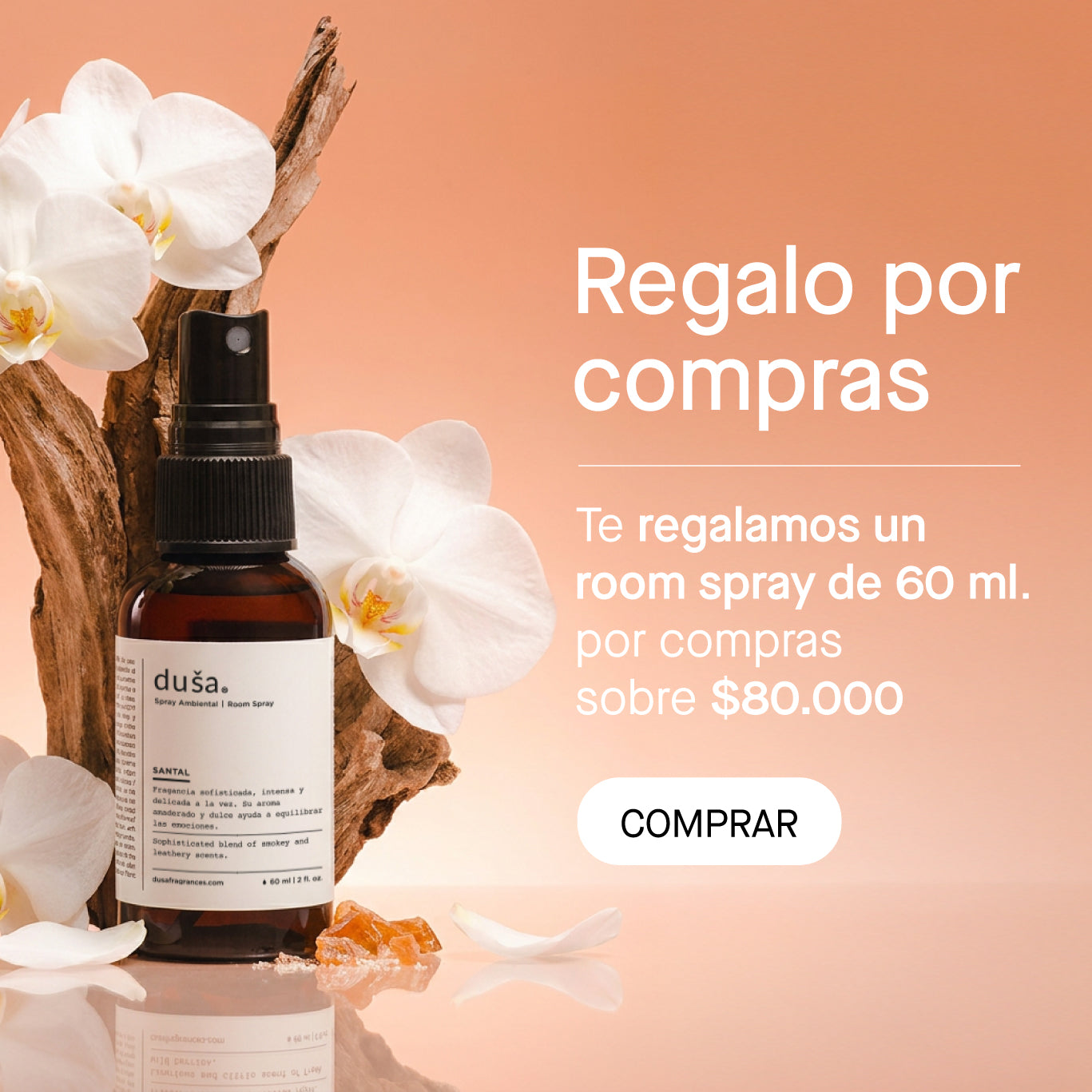 Imagen de diapositiva