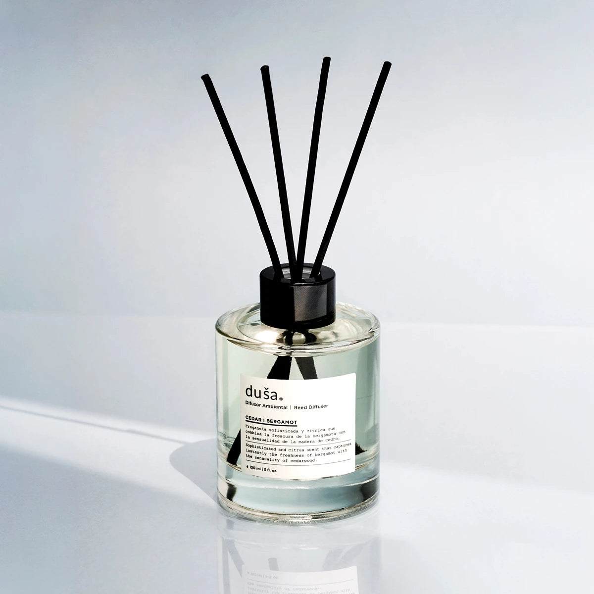 Imagen de diapositiva