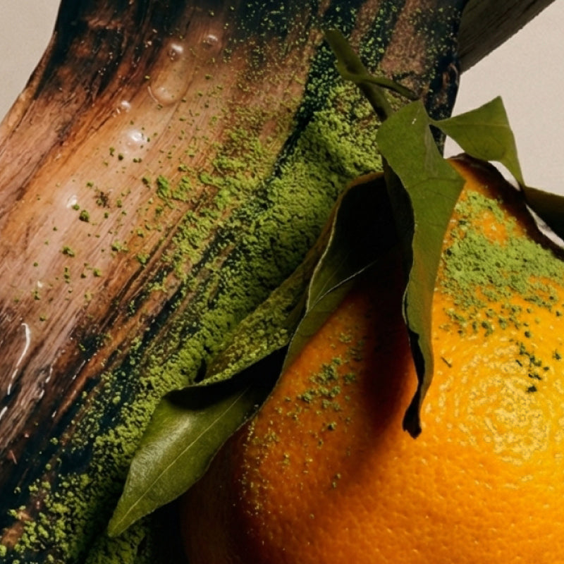 Imagen de diapositiva