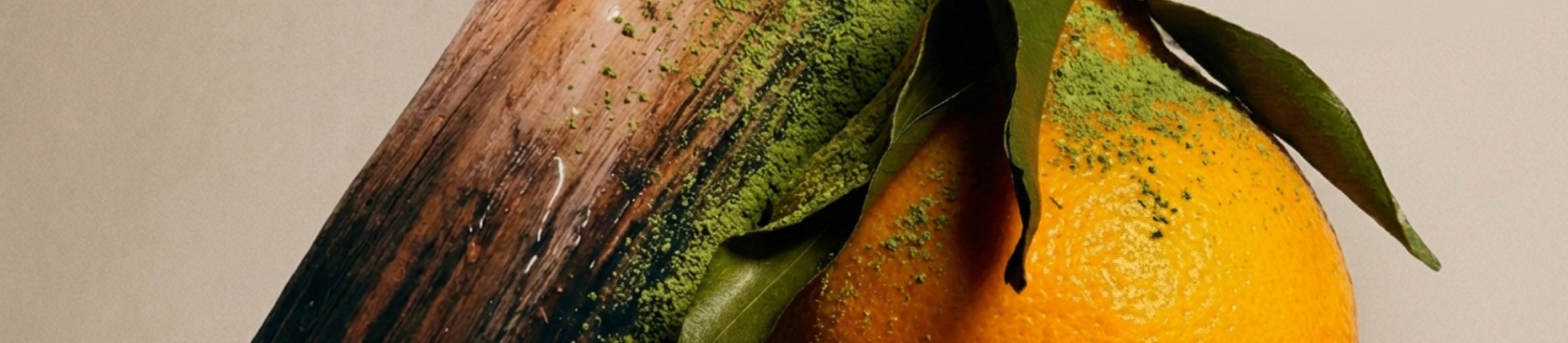 Imagen de diapositiva