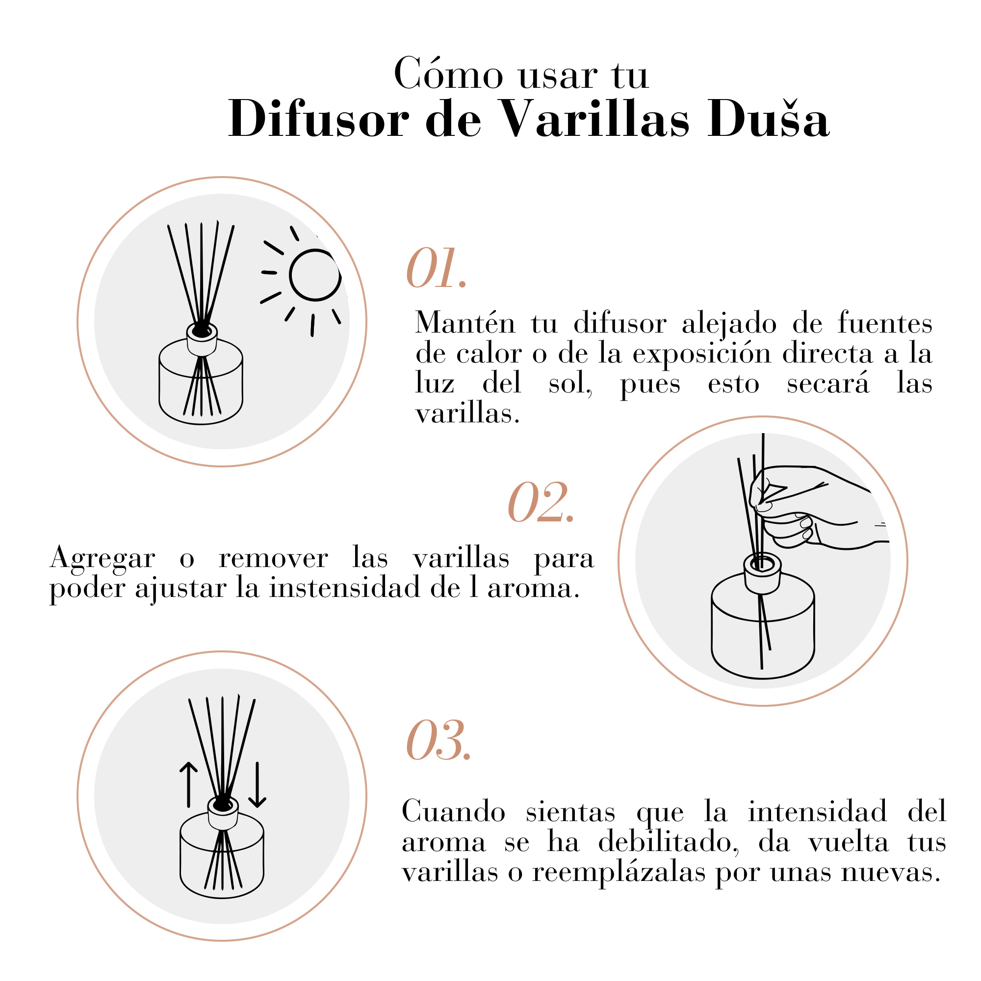 Imagen de diapositiva